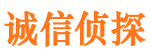 洛扎诚信私家侦探公司